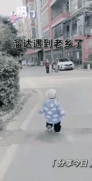 小宝在路上瞎溜达，老远就瞅见熟人了——隔壁小区那个小不点！俩娃眼都亮了，蹬着小短