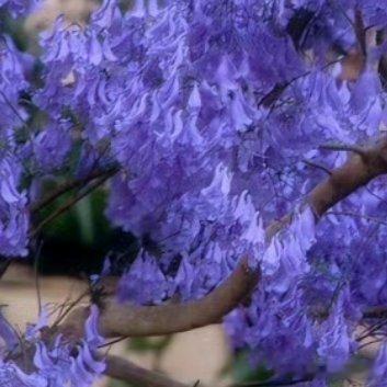 每日一善‎每日一善 ‎阳光‎信用 你若真见过那些强者打拼的样子，就一定会明白，那