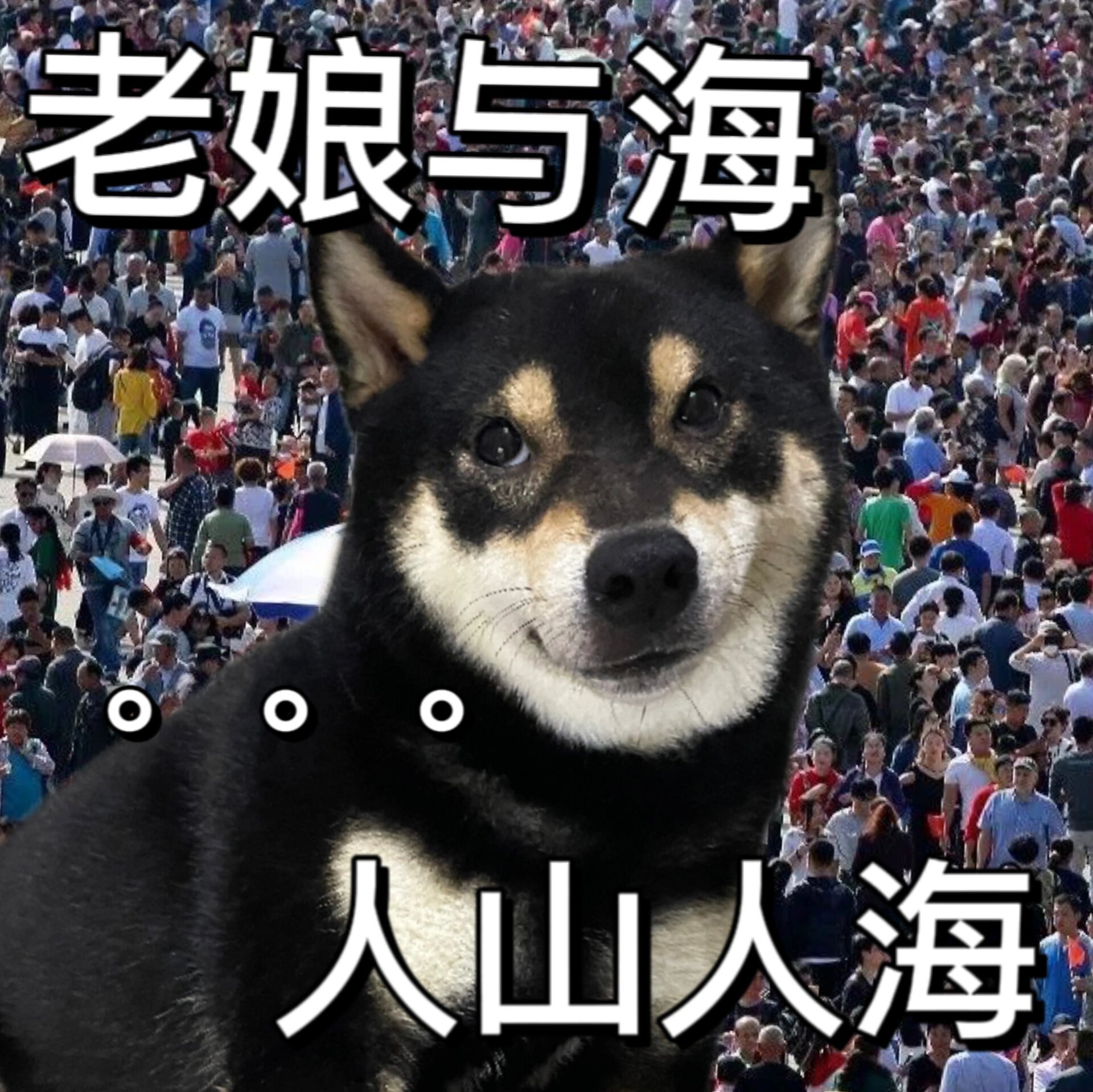 节假日出游=在大量的人群中寻觅少量景色#我的春日狂欢日记# ​​​
