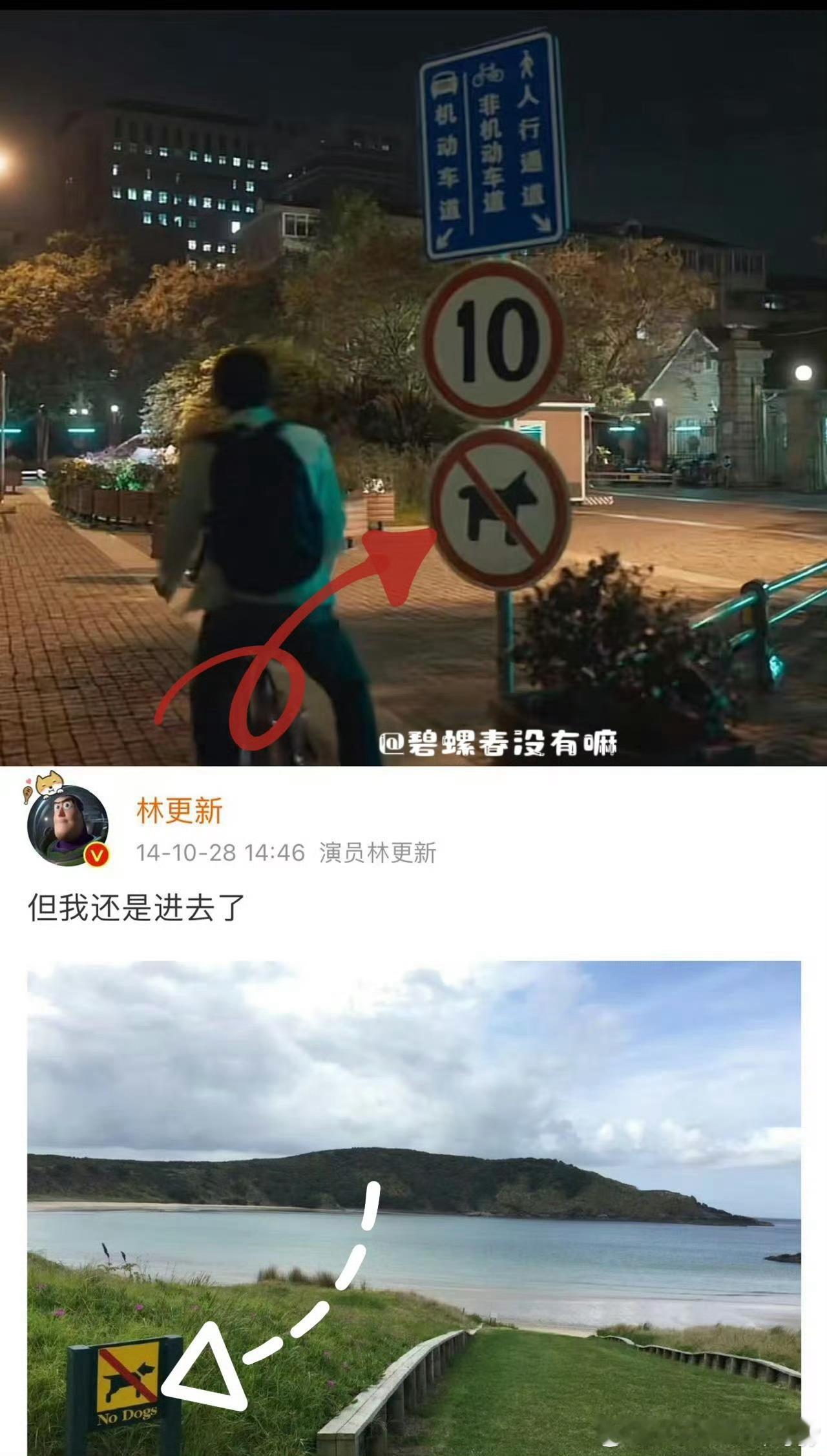 #禁止狗入内但林更新进去了# ​九命🆘林更新是跟狗解下不解之缘了[笑cry]怎