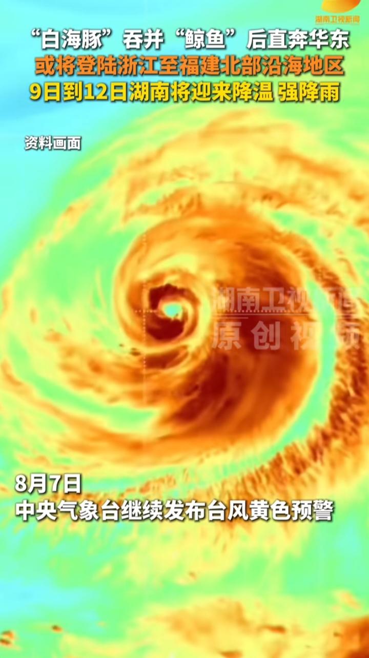🌀 台风“白海豚”吞并“鲸鱼”！华东沿海将迎狂风暴雨，湖南也要降温了！


各