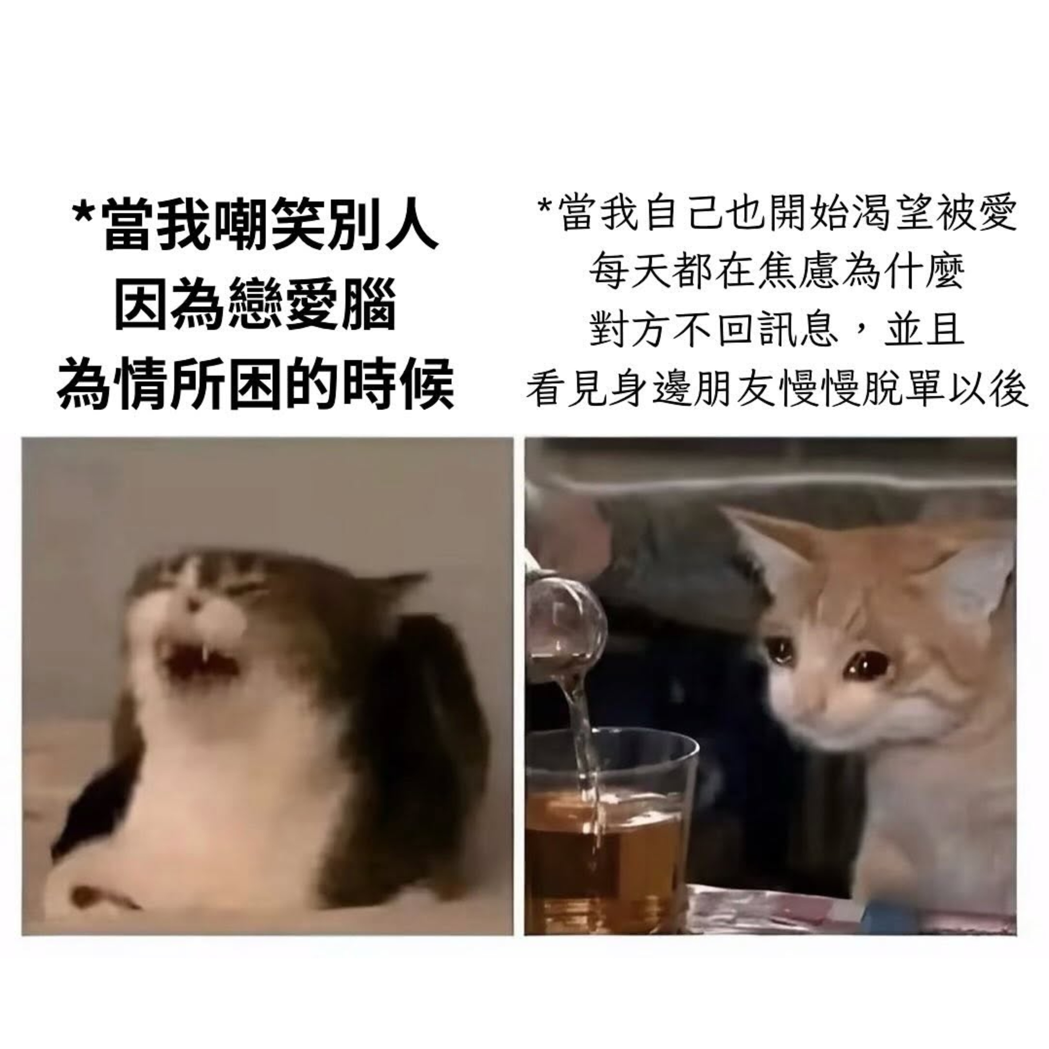 当局者迷 