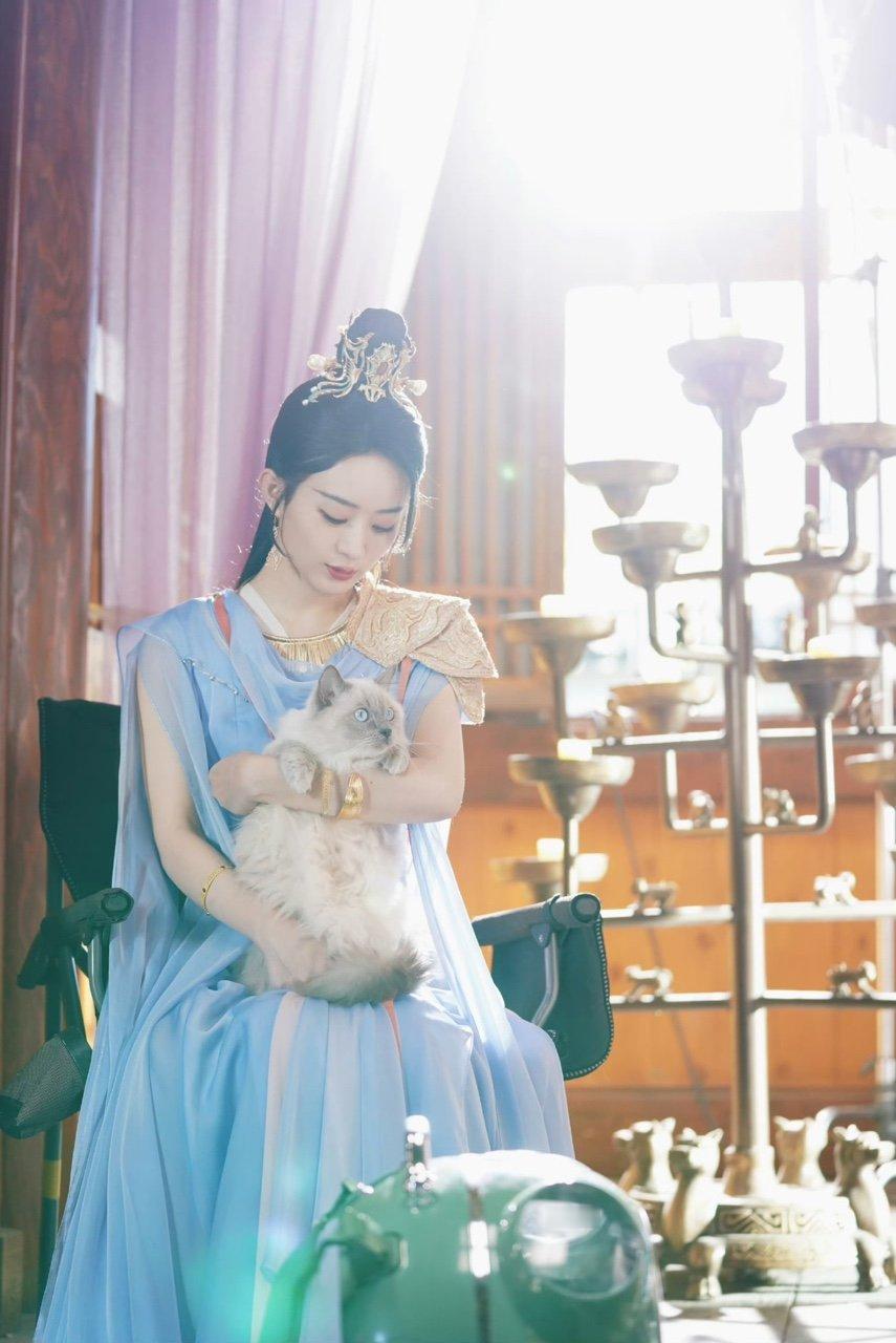 赵丽颖王爷携喵喵向大家问好赵丽颖王爷携喵喵向大家问好，抱猫猫的碧苍王好温柔啊！赵