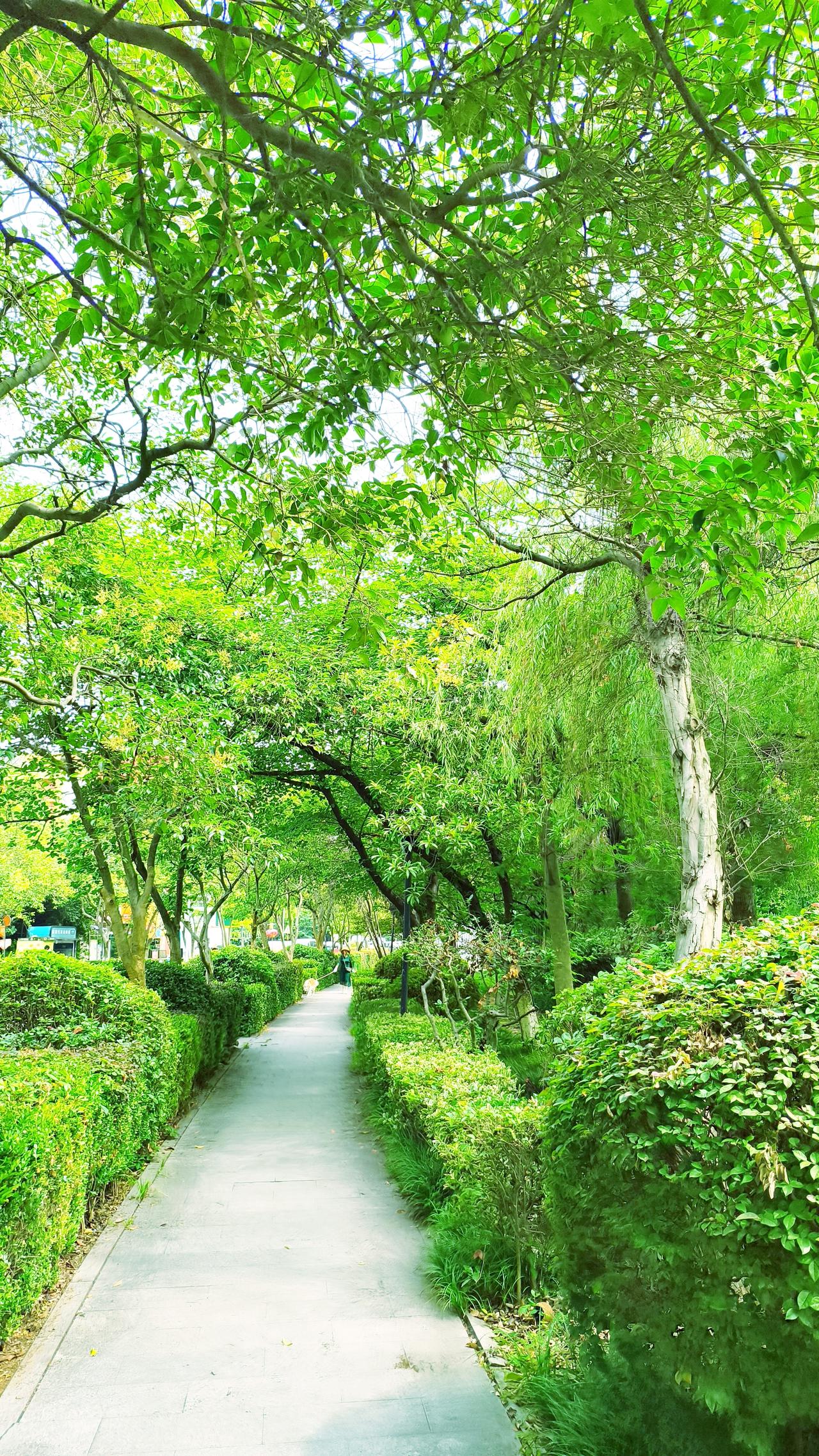 真心话茶局你多学一样本事，就少说一句求人的话，现在的努力，是为了以后的不求别人，