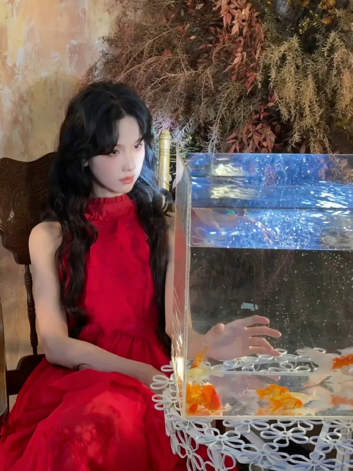 #陈都灵金鱼姬# 好美好美！！红色的人鱼姬[哇][哇][哇] ​​​