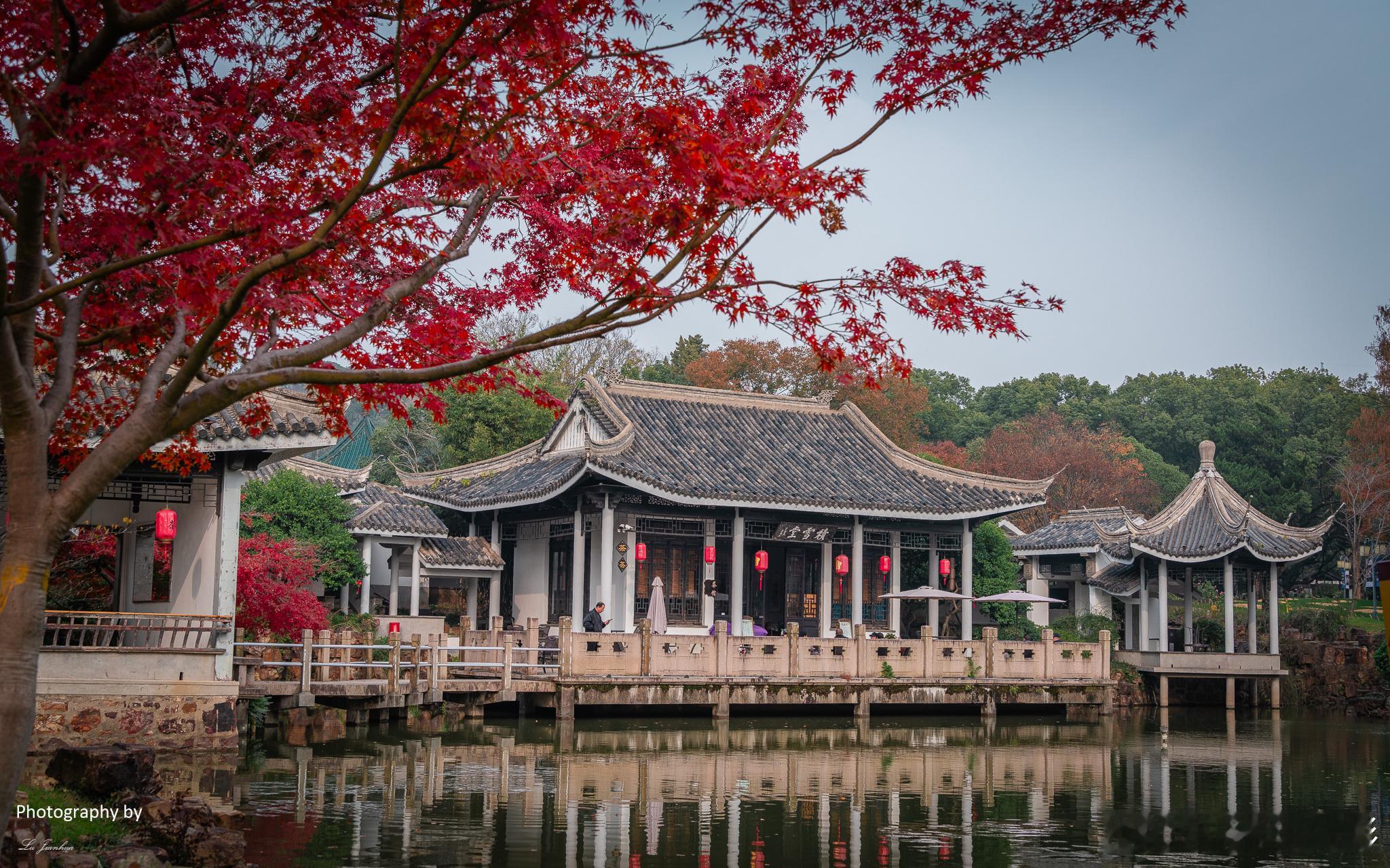 无锡梅园，布局精巧，小桥流水，亭台楼阁，每一处都充满了古韵。冬季来无锡旅游，推荐