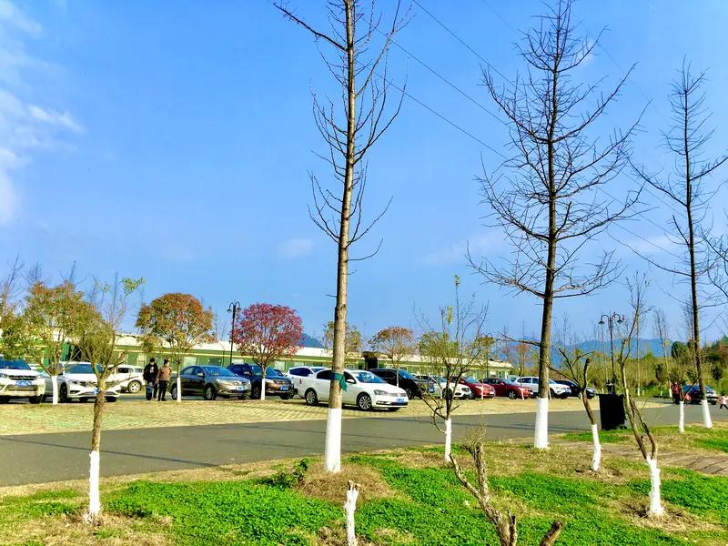 近日，不少深圳市民反映，多个公园停车场被房车长期占用，影响正常停车与充电。1月9