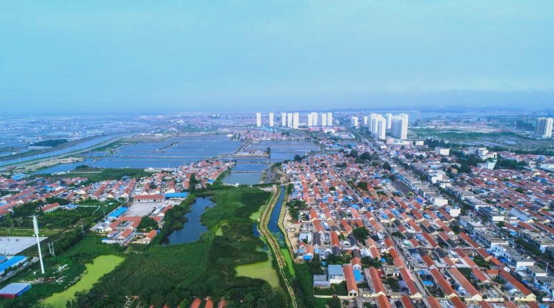 东港区1月财政接近7亿！

2026年1月东港区地方财政收入6.94 亿元，总量