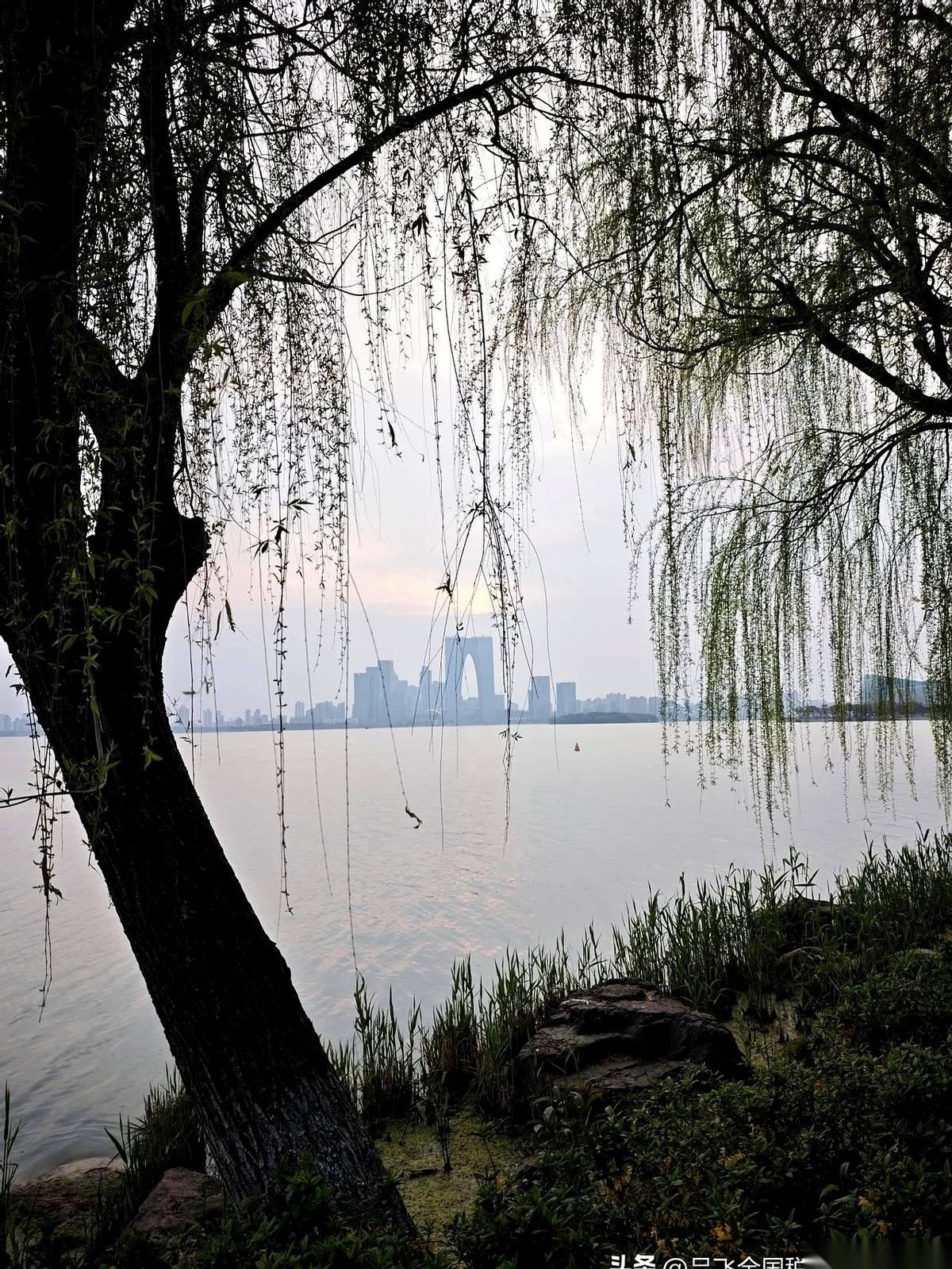 “这笔钱，确实是打给老板个人账户周转的。”财务小王推了推眼镜，想让自己的语气显得