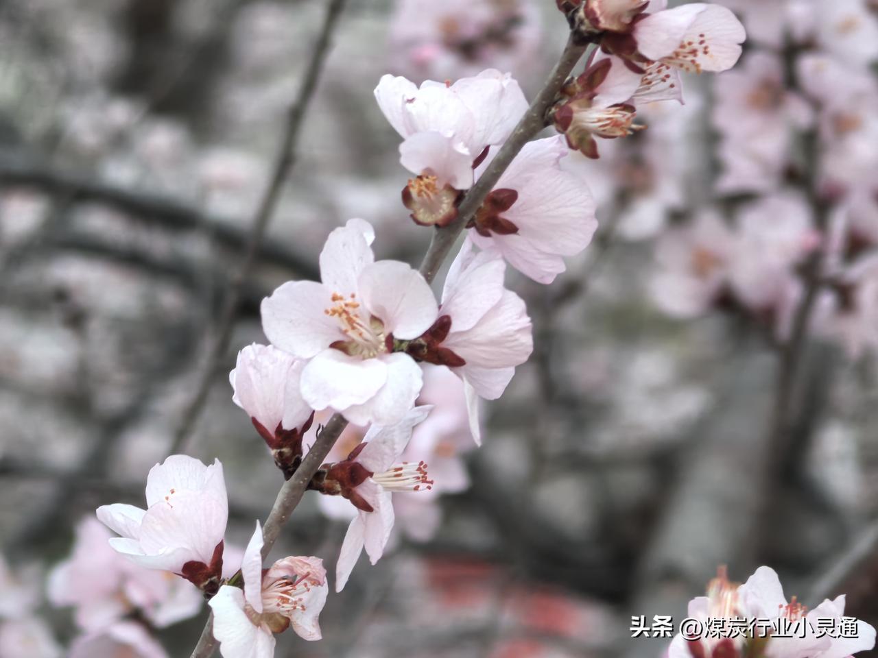 1. 留住瞬间，对抗遗忘
很多场景、心情、人，过去了就没了，照片是把“当下”存起