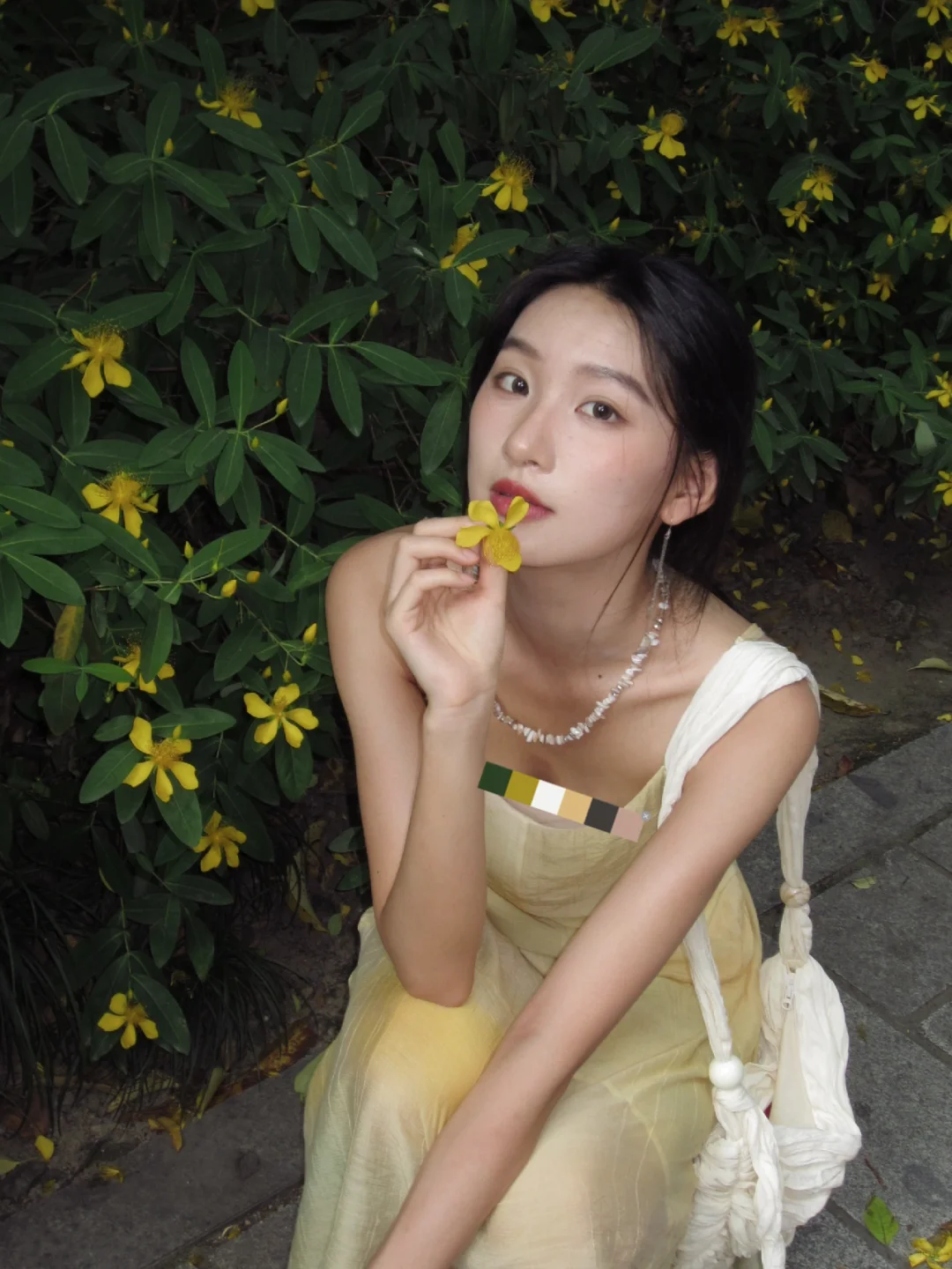 故事里春天的小黄花🌼