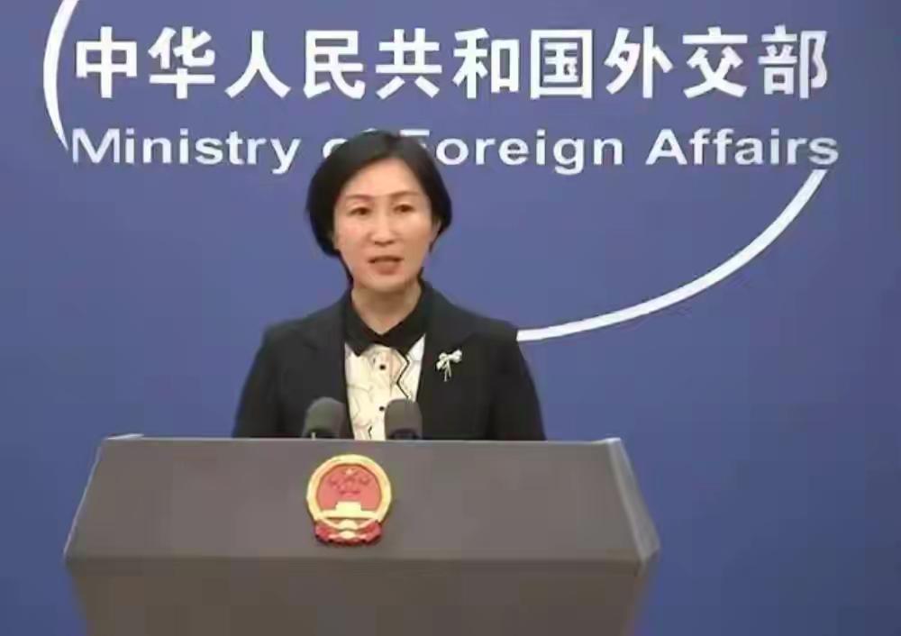 巴拿马一市政府强行拆除中巴公园及华人纪念碑，中国驻巴拿马大使馆：极度震惊、强烈愤