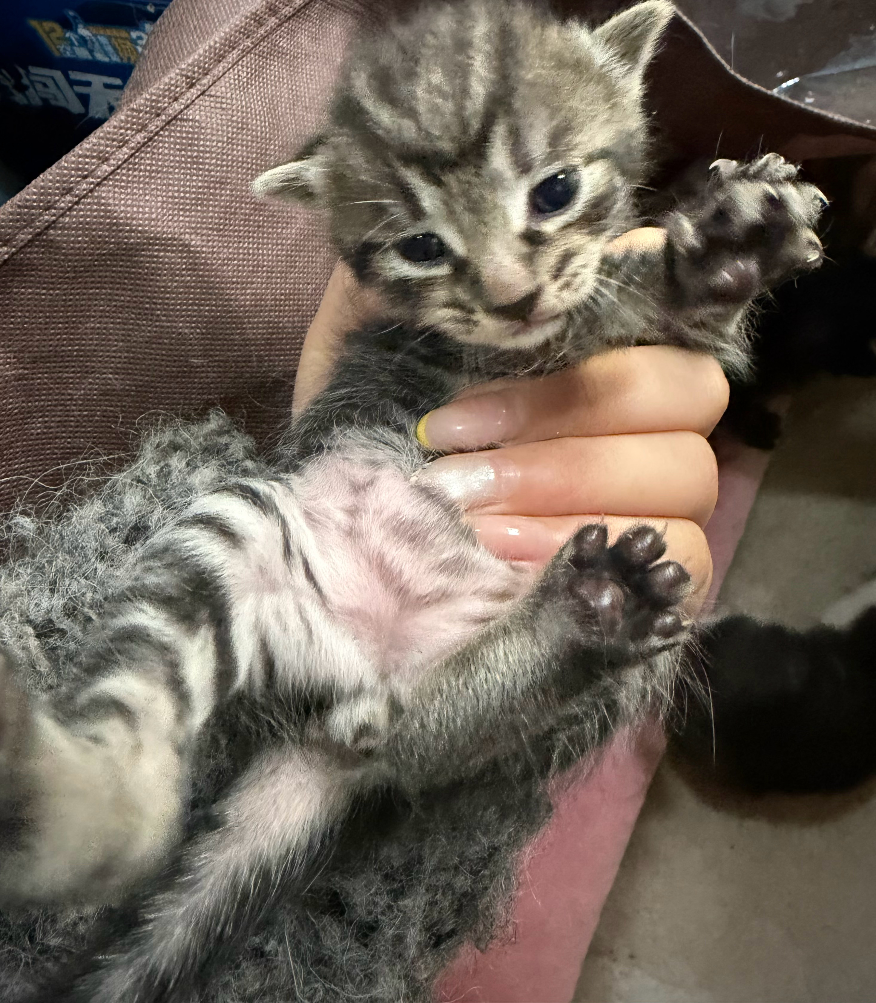 开心明天休息了