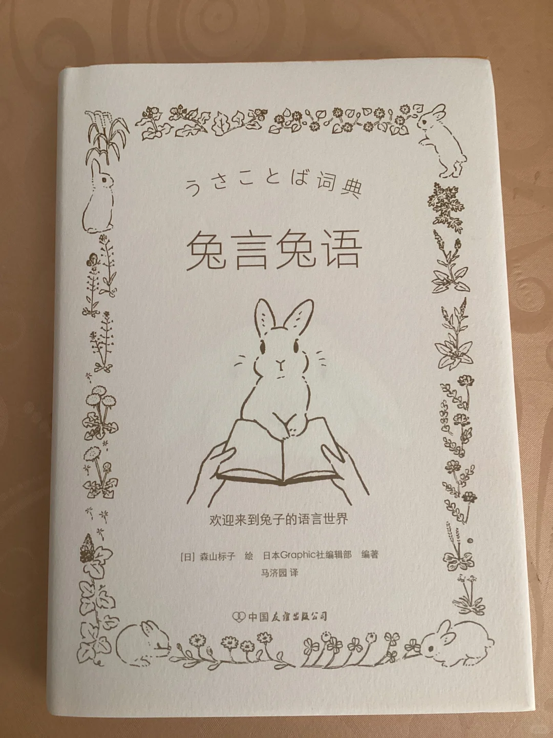 小兔子，谁会不喜爱呢？