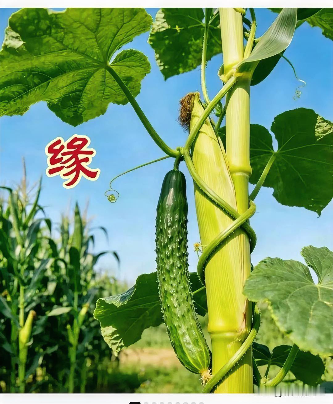 秋日真是个让人幸福感爆棚的季节！走在街上，脚下的落叶沙沙作响，仿佛在演奏一首秋日