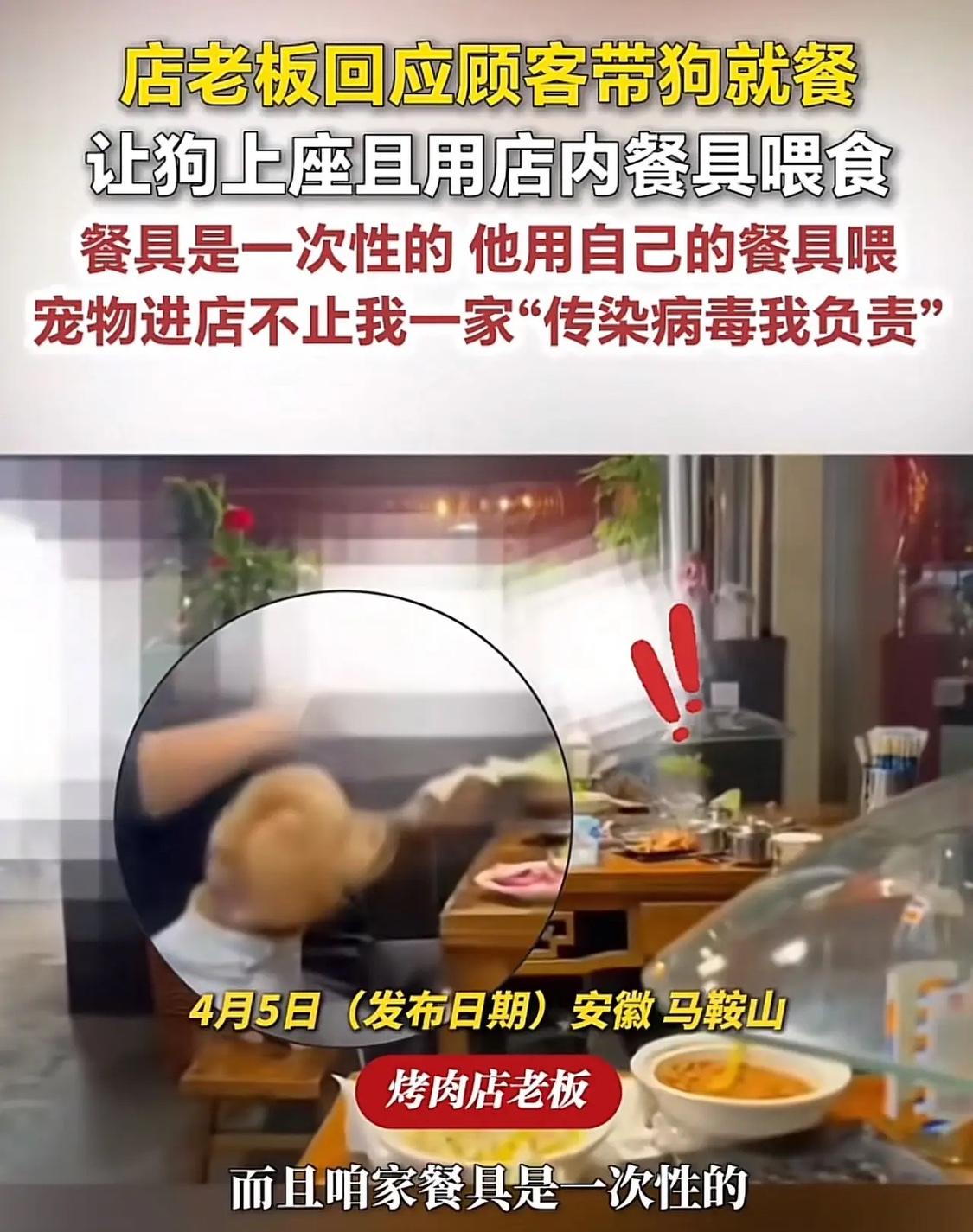 安徽马鞍山，一男子带着两只大型犬去一家烧烤店用餐，期间，男子用筷子夹桌子上的食物