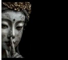 今年 60 岁了，还没分到我的公租房

我今年整整 60 岁了，到了该安享晚年的