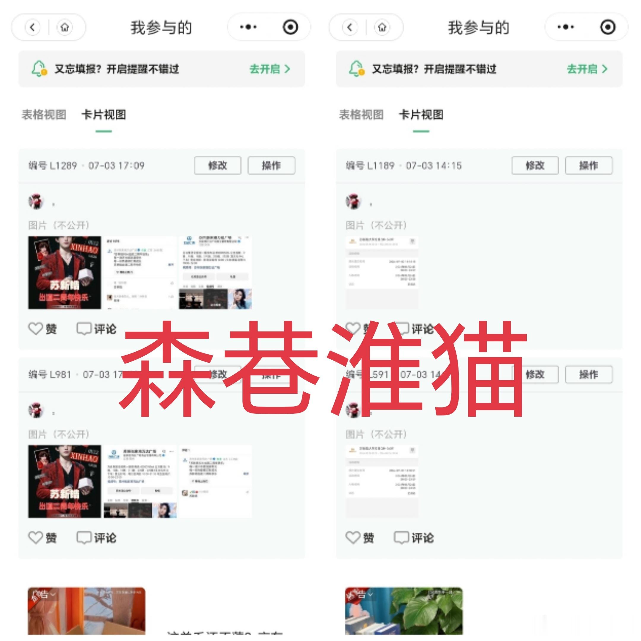 7.3森巷淮猫5分 