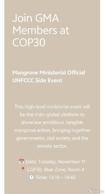 聚焦COP30：全球红树林联盟借自然力量守护蓝色防线，提升海岸带生态韧性随着气候