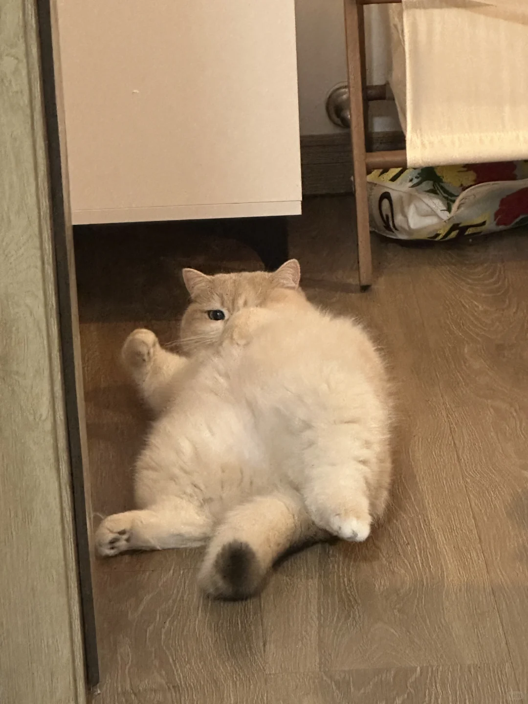 偷看麻麻