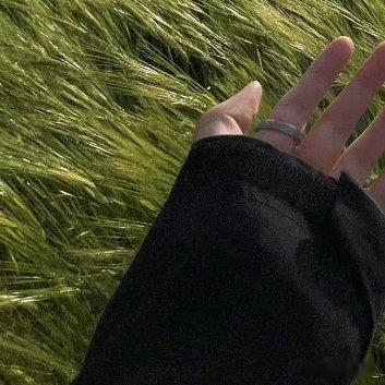 努力把日子都填满，别让孤单把你包围，请善待珍惜自己，给自己一个坚强的理由，生活中
