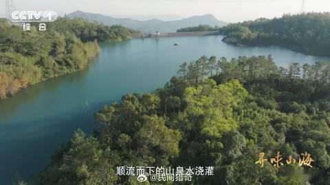 北风越大萝卜越甜萝卜甜不甜居然是风说了算塘敢村的萝卜，得益于凛冽北风与丰沛泉水，