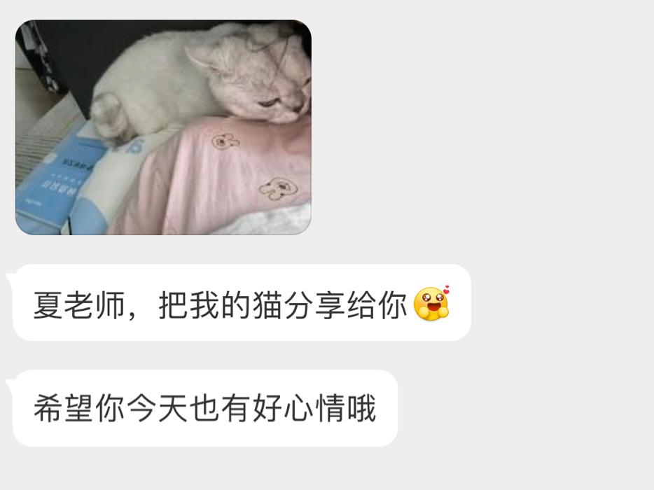 在有点焦虑的时候看到了这条私信好喜欢你们噢 ​​​