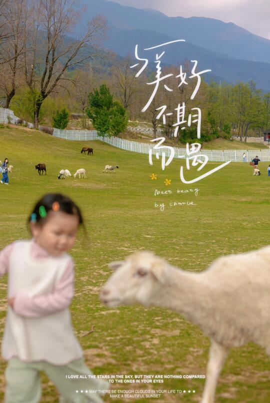 在大理旅居 2岁女娃被羊硬控的一天