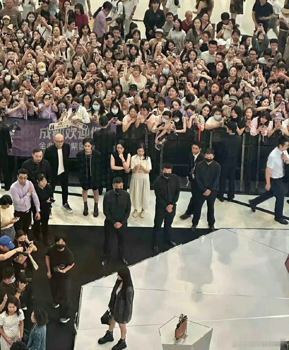 这就是杨紫的实力吗？粉丝们直接热情高举手机[可怜][可怜][可怜]到底是谁说观众