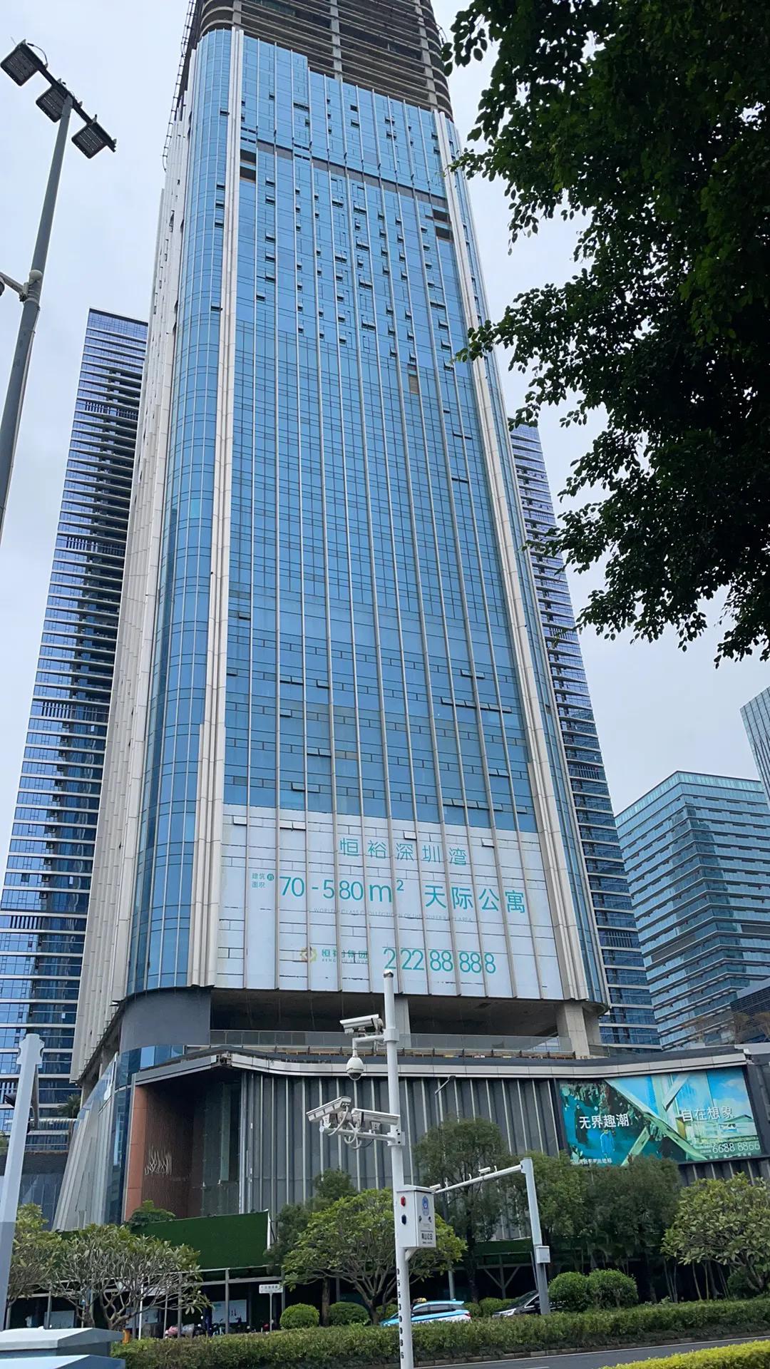这栋楼已经停工停建几年了，严重影响深圳湾的形象，应该引起深圳市委市政府的关注和重