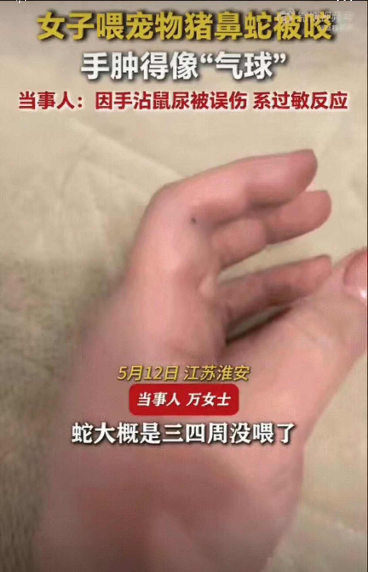 离谱又吓人！女生饿蛇三周差点被咬出事，异宠乱象真的该醒醒了

离谱又吓人！ 江苏
