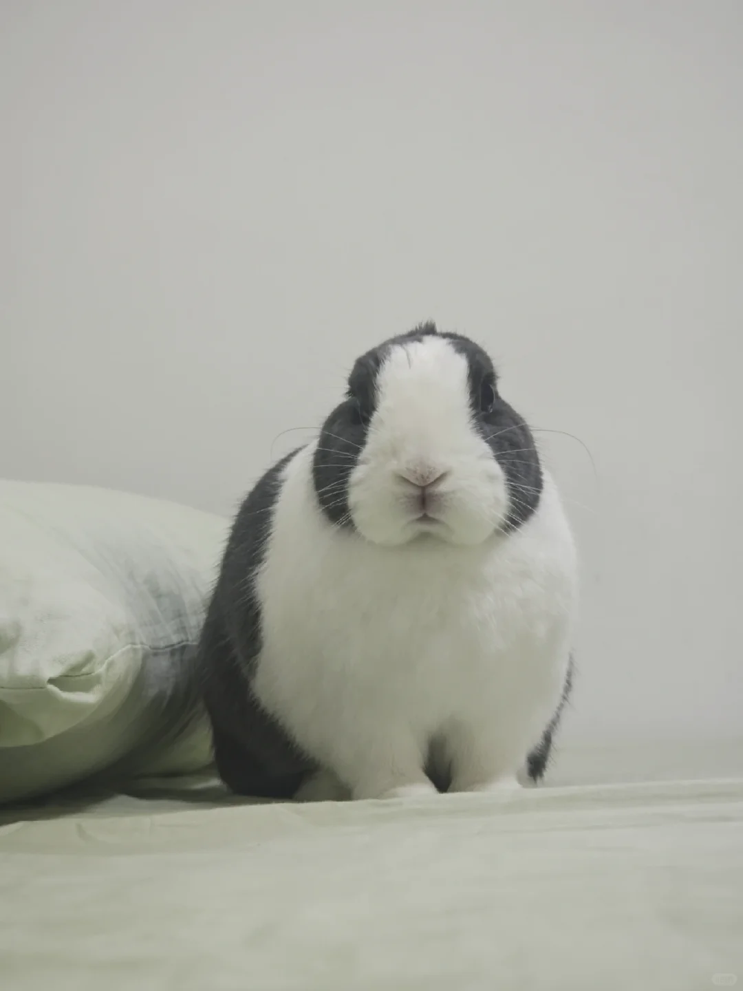 人，别惹我