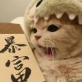 马忠漫说商业