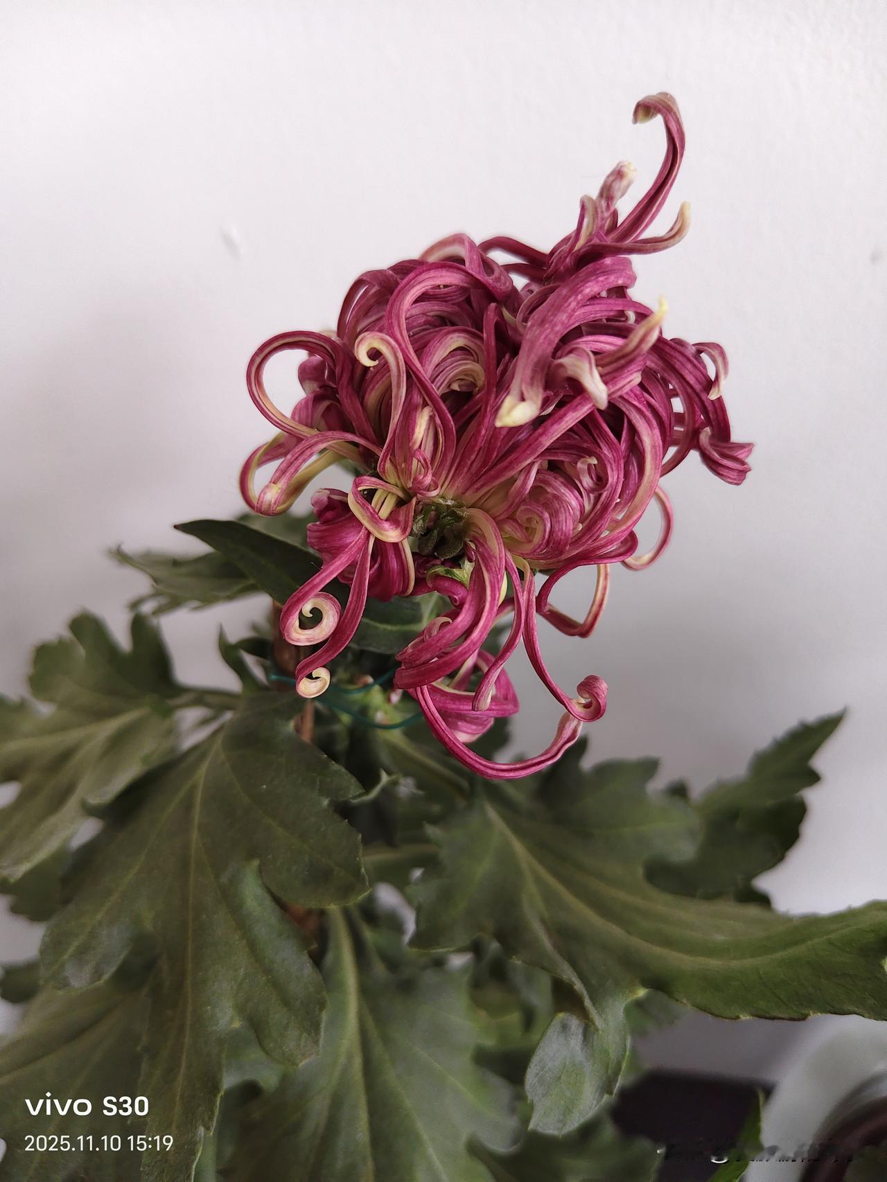 家乡都有好风光