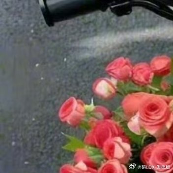 生命有限，请浪费在更美好的事物上 ​​​