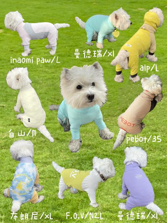 打猎完毕！狗狗四脚凉凉衣合集🈷️