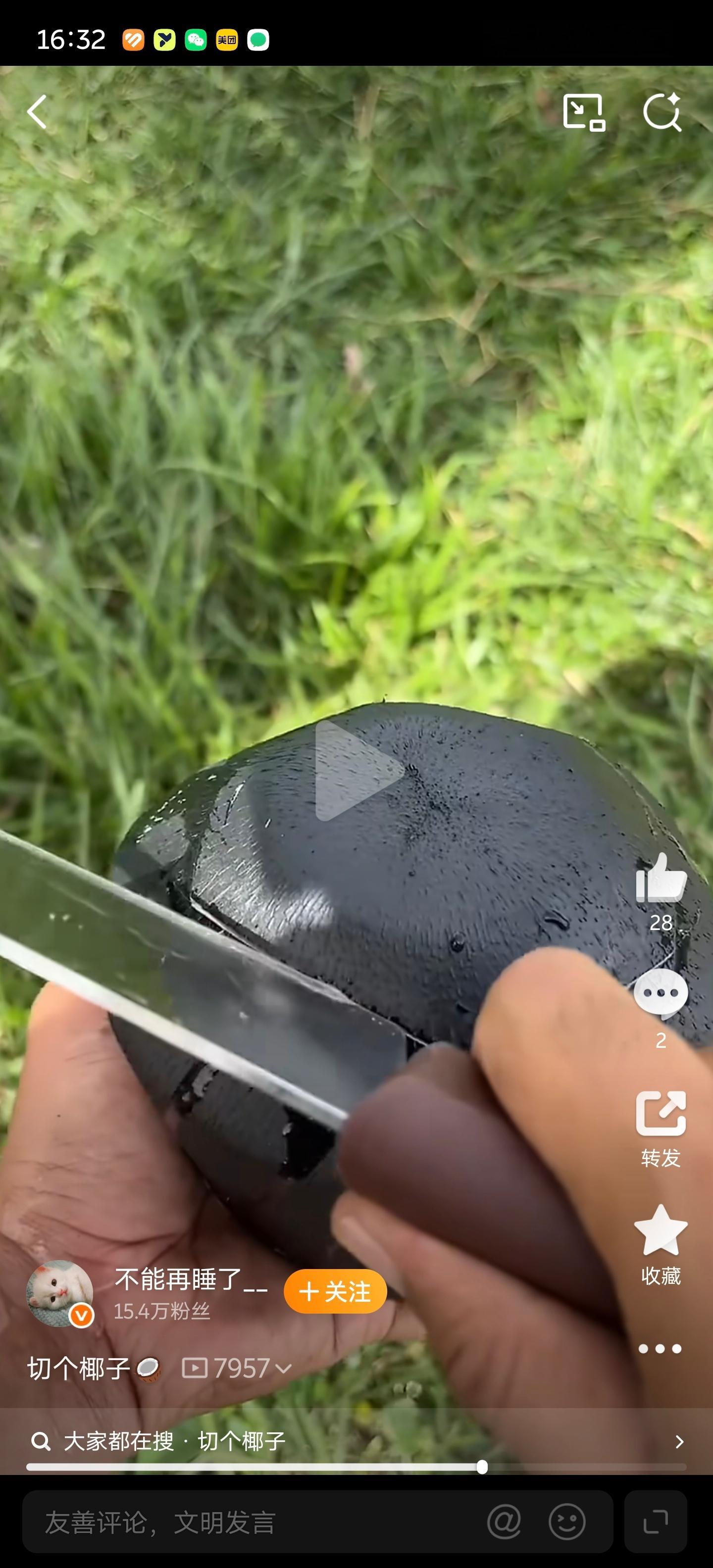 世界上无聊的人好多啊……把椰子染黑，到底有什么意义？是因为完全找不到博眼球的方向