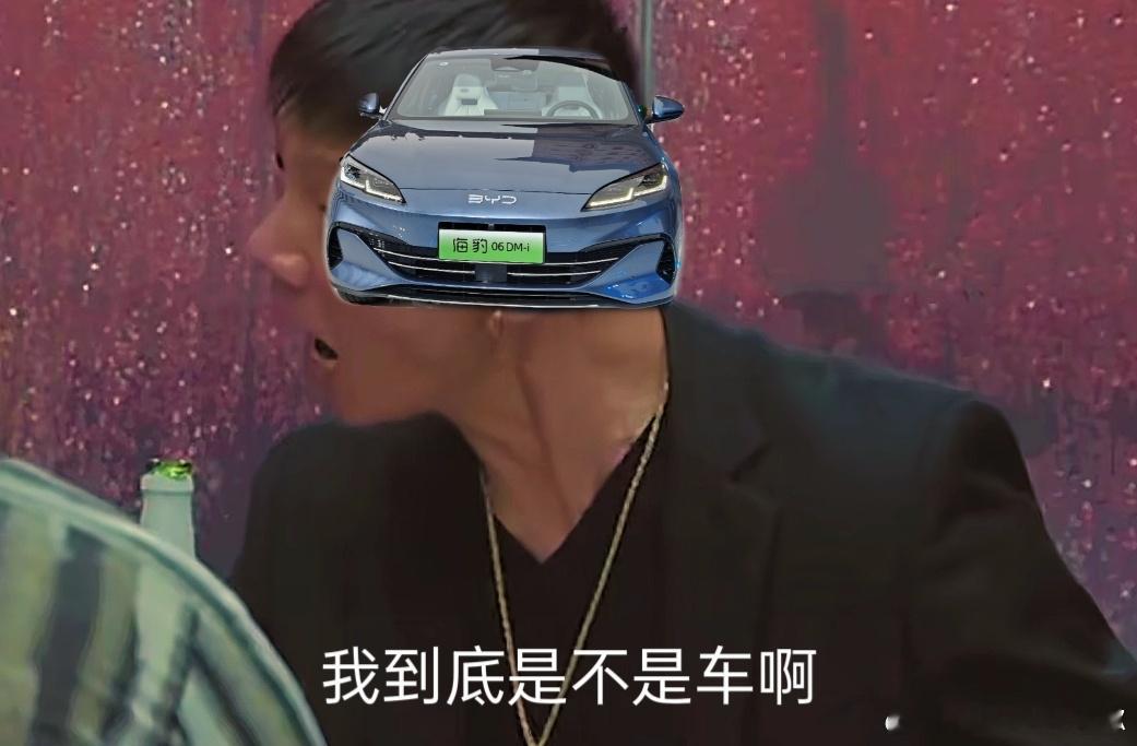 海豹06：我到底是不是车啊！测续航，秦L；评论区吵架，秦L；做快报，秦L；第五代