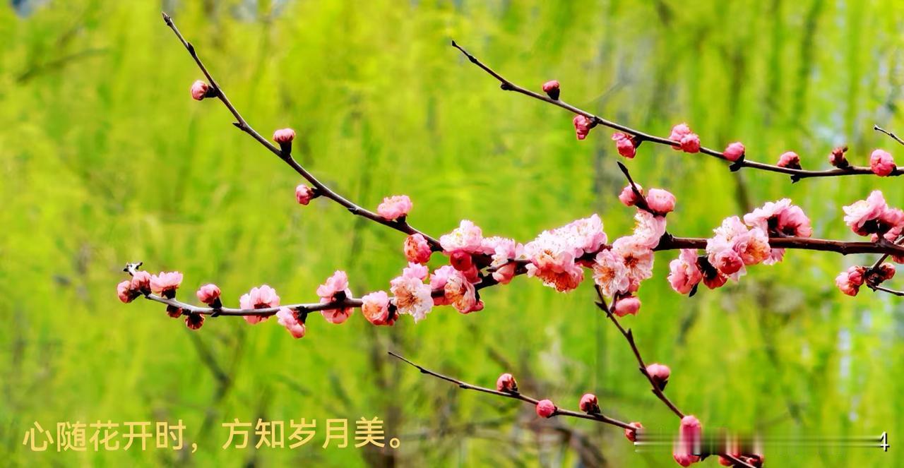 分享今日的感悟看到一则对死亡最好的诠释:人的死亡就是从有儿女的地方到有父母的地方