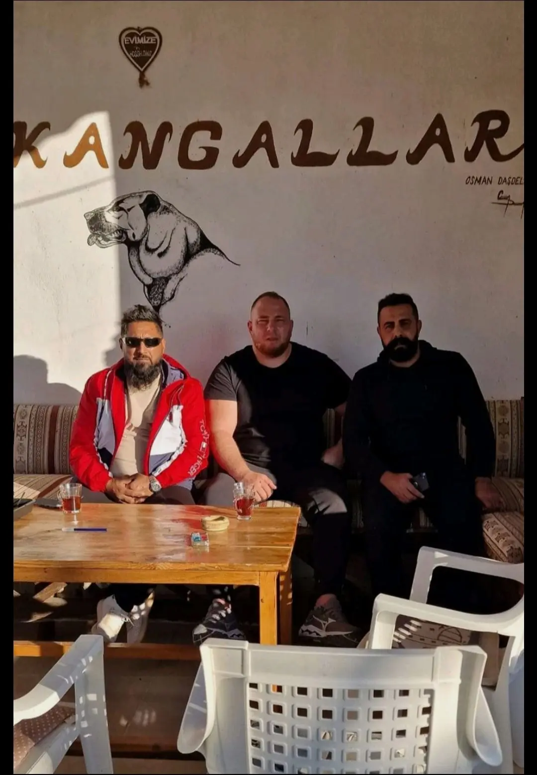 借用平敬飞老哥说过的话：常言道:只要你长得乖,顿顿吃牛肉,夜夜换新娘~...