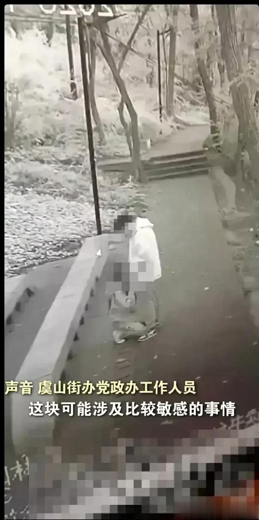 又是探头，本是来监控森林火灾的，没想到监视到“情侣恩爱”了!

哎，这对年轻人太