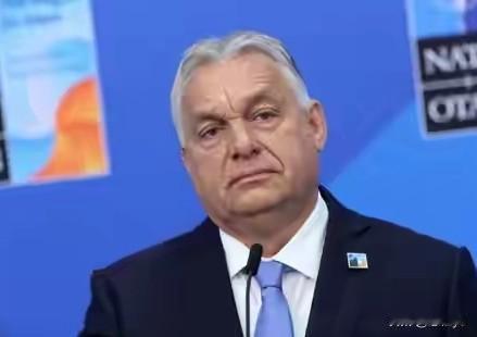 11月21日，匈牙利总理欧尔班在接受采访时称“欧洲人已经决定去打仗”，我们要阻止