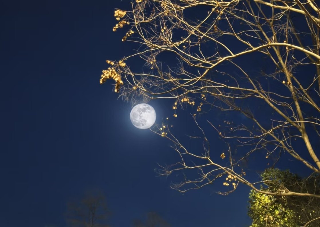 今晚的夕阳好美，月亮好圆🌕 