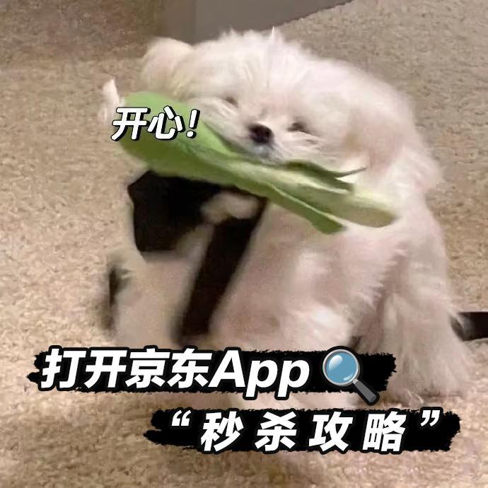 京东上线1折秒手机电视活动科技改变生活，价格改变心情！宇树的AI机器狗真5折，创