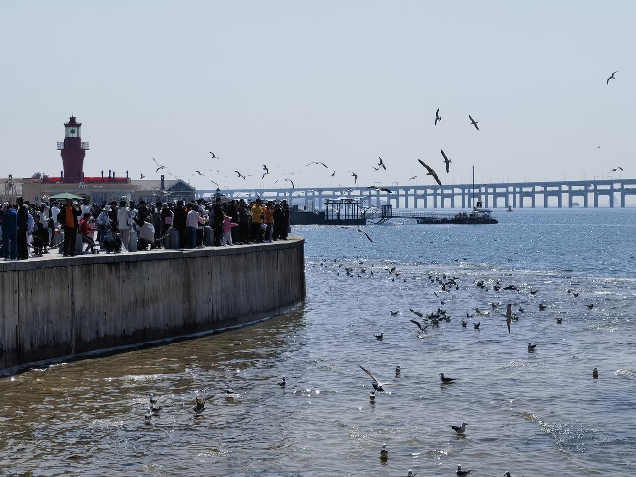 大连星海广场及滨海路即景