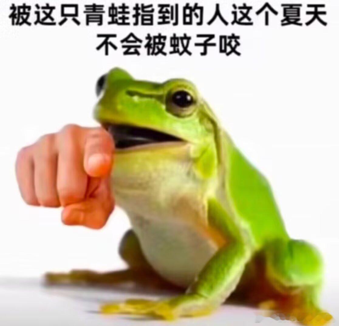 4316接 