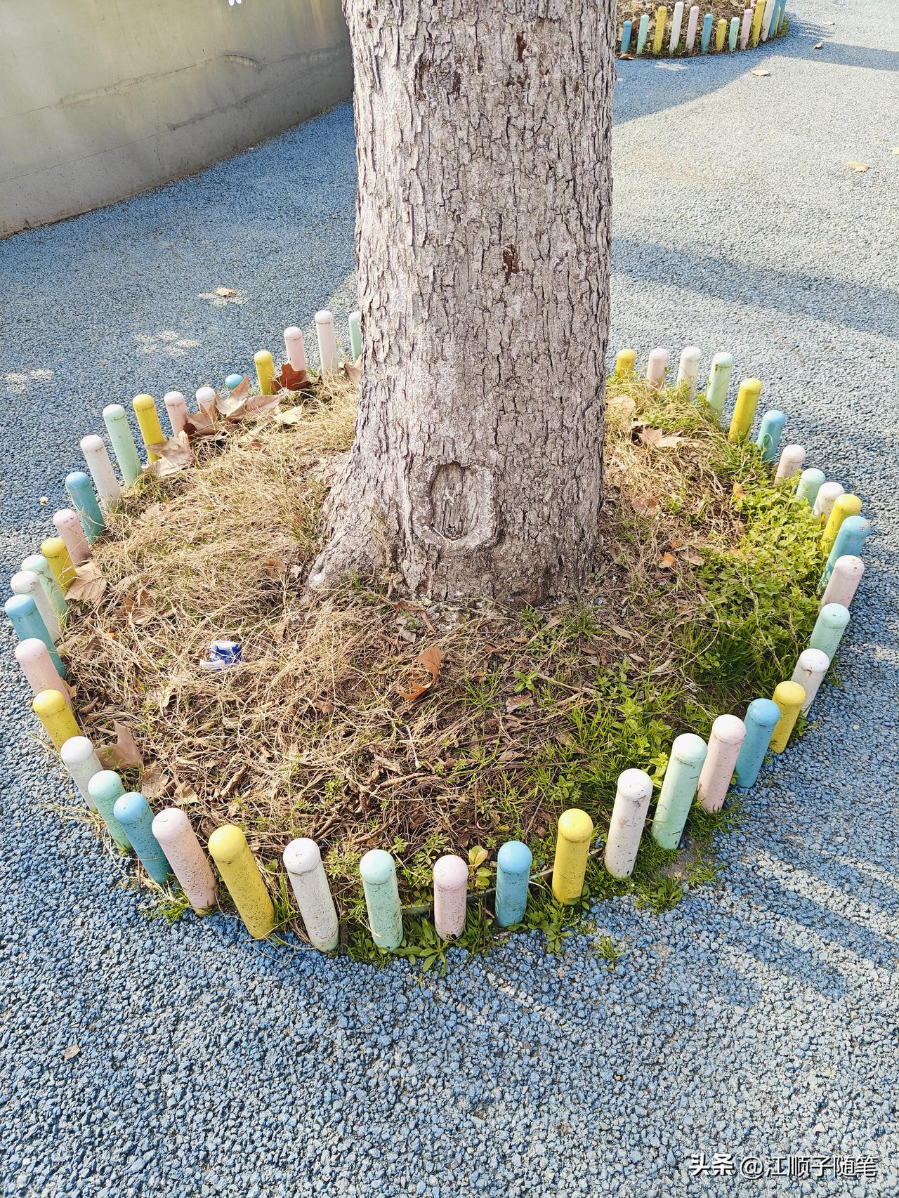 养儿防老的算盘，如今怕是要落空。你指望孩子多、轮流伺候，现实往往是：孩子越多，责