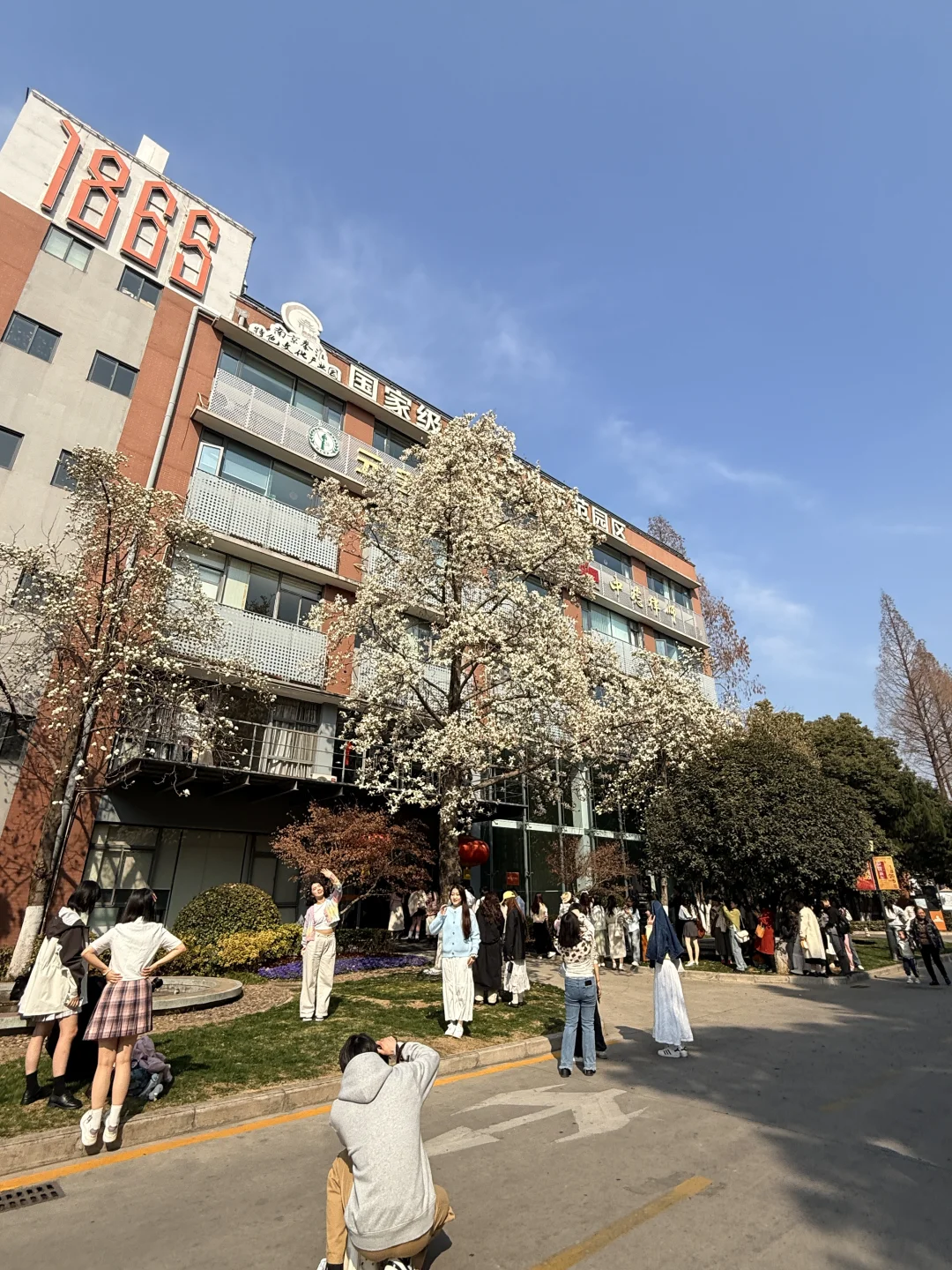 3.1 🌸1865实拍 人真的多