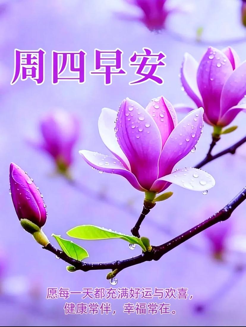 七绝🌿问春🌿


谷雨沾衣送晚春，平芜尽处绿初匀。
凝眸遥问天涯景，谁唤新荷