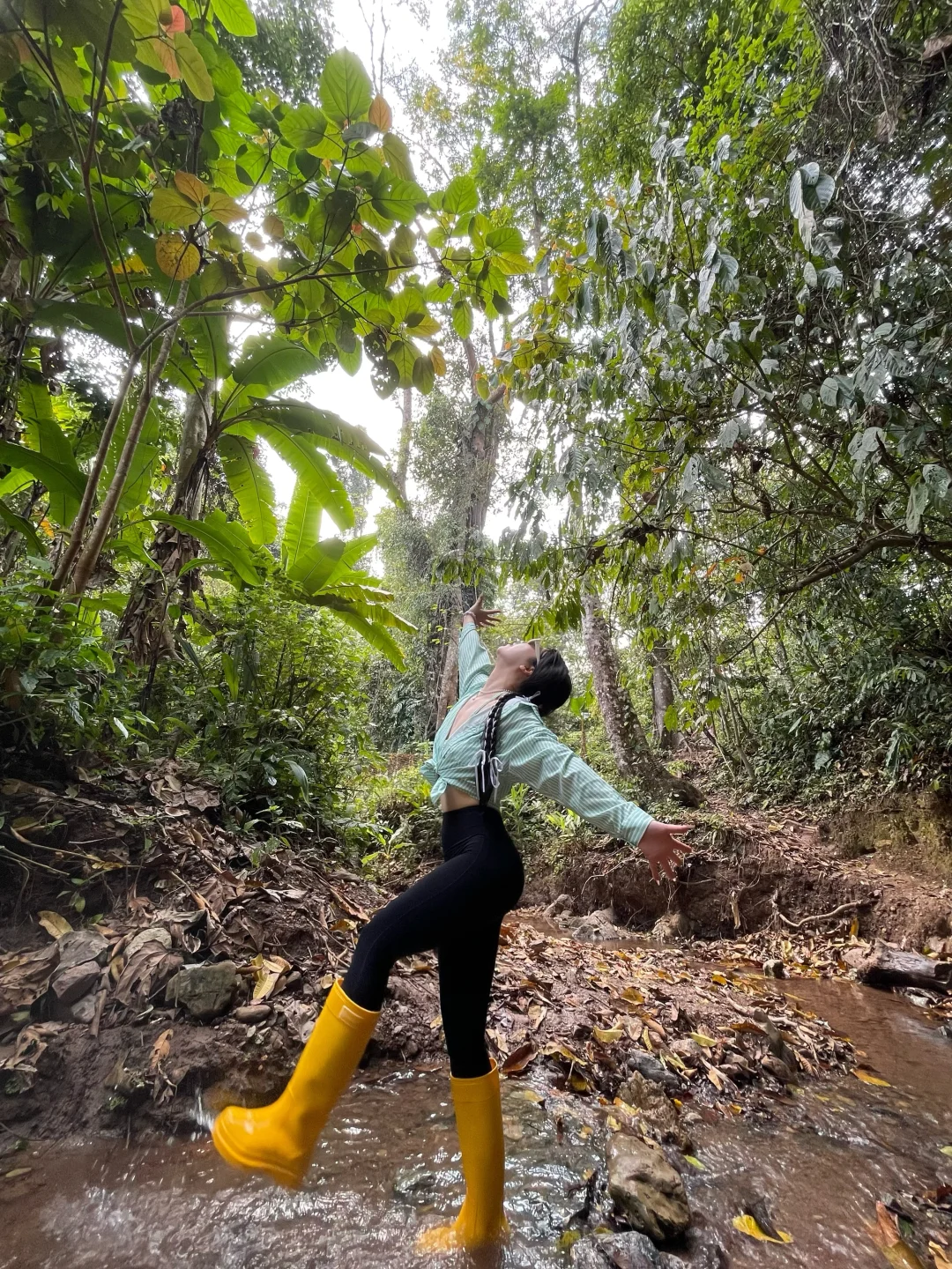 西双版纳基诺山|雨林吸氧太治愈了 🌿